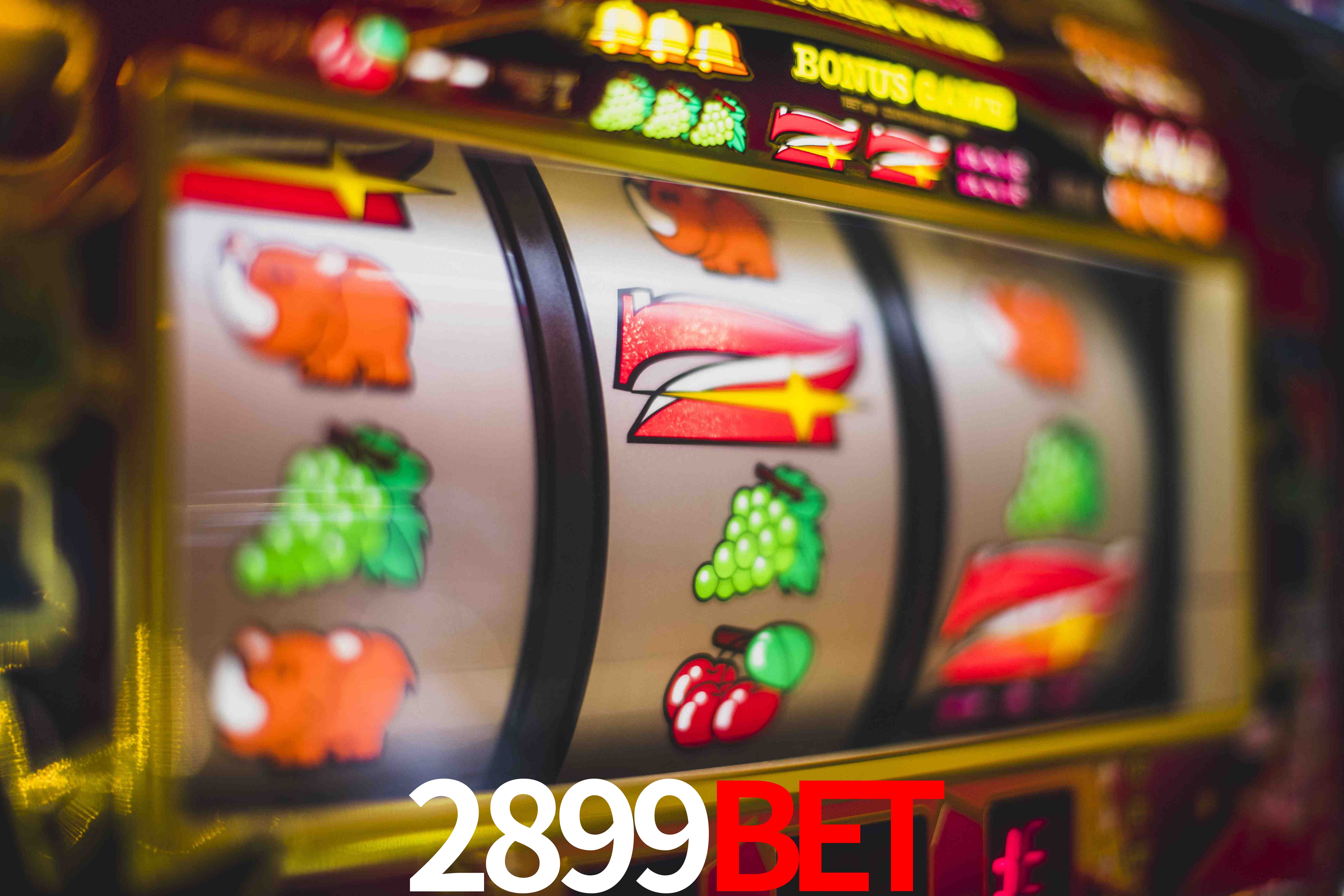 Statistics 2899bet